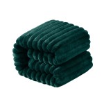 NTBAY Flannel Fuzzy Toddler Blanket, Fluffy Warm and Lightweight Reversible Stripes Design Baby Plush Blanket, 30x40 Inches, Dark Green