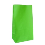 Partay Shenanigans Party Favor Bags - 50 Pack Kraft Paper Goodie Gift Lunch Treat Bags - Party Supplies for Theme Kids Birthday - 5x3x9 (Lime Green)