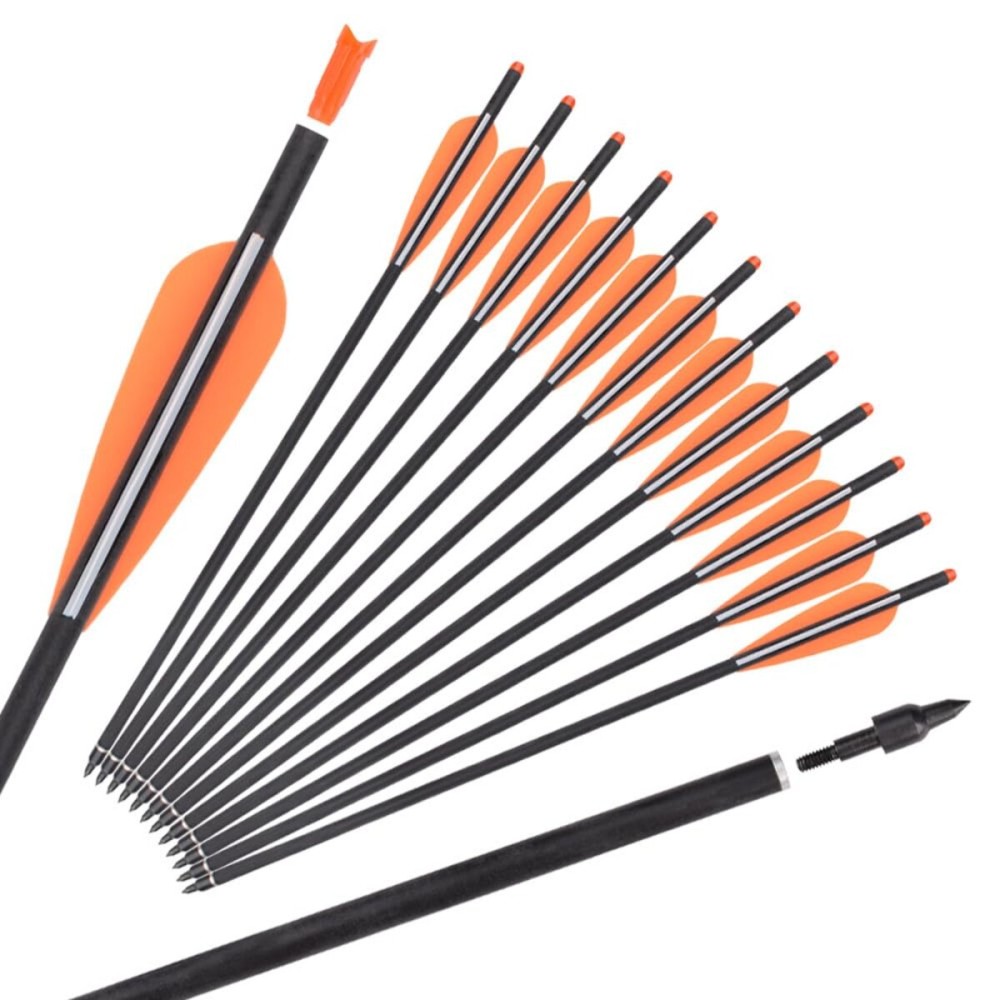 Carbon Crossbow Bolts 20 Inch Hunting Archery Arrows with 4 Vanes Replaced Arrowhead Tip (Pack of 12)