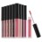 Beauty Concepts Lip Gloss Collection - Shimmering, Glossy Lip Makeup Set for a Radiant Finish, Neutral