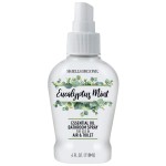 SMELLS BEGONE 4 oz Essential Oil Air Freshener Bathroom Spray - Eliminates Bathroom & Toilet Odors - Made with Essential Oils - Eucalyptus Mint Scent
