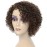 HUA Kinky Curly Short Wigs for Black Women Human Hair Chocolate Brown Mix Medium Auburn Curly Human Hair Wigs for Black Women Glueless 4/30 Color Short Wigs for Women