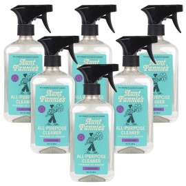 Aunt Fannie\'s All Purpose Household Cleaner, Multi-surface Spray, Powered by Vinegar for Kitchen, Bath, Windows and Countertops, Lavender Scent (Pack of 6)