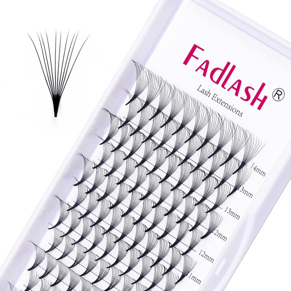 Lash Fans D Curl 0.07 14mm 5D Lash Extensions Pro Ponit Middle Stem Premade Eyelash Extensions Optinal 3D-20D Thickness 0.07 0.10 C D Curl 8-20mm Length (5D-0.07-D, 14mm)