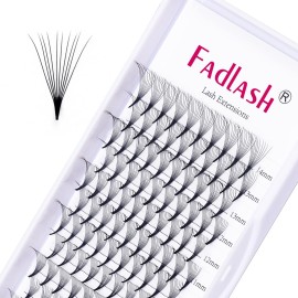Lash Fans D Curl 0.07 14mm 5D Lash Extensions Pro Ponit Middle Stem Premade Eyelash Extensions Optinal 3D-20D Thickness 0.07 0.10 C D Curl 8-20mm Length (5D-0.07-D, 14mm)