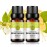 2-Pack Honeysuckle Essential Oil 100% Pure Oganic Plant Natrual Flower Essential Oil for Diffuser Message Skin Care - 10ML