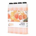 TOURIT Ice Packs for Coolers Reusable Long Lasting Freezer Packs for Lunch Bags/Boxes, Cooler Backpack, Camping, Beach, Picnics, Fishing and More (Set of 4, Orange)