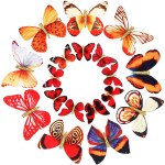 Boao 18 Pieces Glitter Butterfly Hair Clips for Girls Teens Women Hair Accessories (Bright Style)