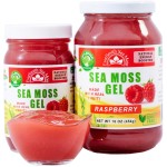 EverSmith Organics - Wildcrafted Irish Sea Moss Gel | Made in USA | Rich in Vitamins & Minerals | Sea Moss Gel Raw | Nutritional Supplement | Raspberry (16 oz)