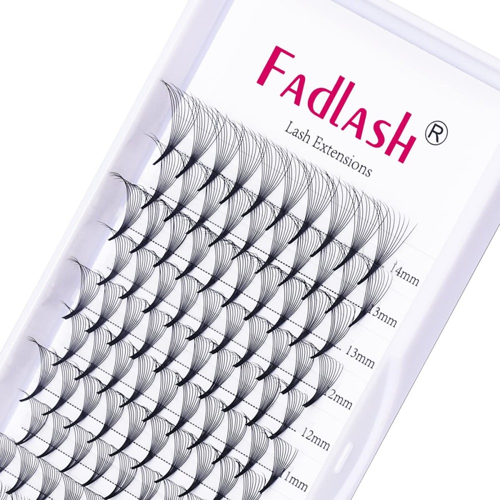 Lash Extension 10D 0.07 Premade Fans Eyelash Extensions D Curl Mix Tray Volume Short Stem (10D-0.07-D, 8-14mm Mix)