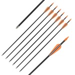 Elong Fiberglass Arrows Archery 28 Inch Target Shooting Practice Safetyglass Recurve Bows Suitable for Youth Children Woman Beginner (6 pcs)