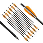 REEGOX Crossbow Bolts 16/18 inch Bio Crossbow Arrows Moon Nocks Removable Tips (Pack of 12)