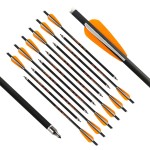 REEGOX Crossbow Bolts 16/18 inch Bio Crossbow Arrows Moon Nocks Removable Tips (Pack of 12)