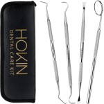 Dental Tools HOKIN Plaque Remover Teeth Cleaning Tool 4 Pcs Dental Care Kit Tooth Filling Repair Set Stainless Steel Dental Tools for Men Women Kids and Pet Care