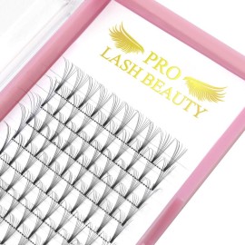 Premade Volume Eyelash Extensions 8D-D-0.07-17 Short Stem Premade Fans Eyelash Extensions 9 to 20 mm Volume Lash Extensions .07 .10 Pre made Lash Fans C D Curl (8D-D-0.07,17mm)