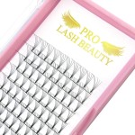 PRO LASHBEAUTY Premade Fans Eyelash Extensions 3D 5D 7D Volume Lash Extensions 9-20mm Black Vegan PTB Fiber False Eyelashes