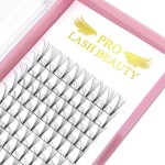 Premade Volume Eyelash Extensions 8D-D-0.07-10 Short Stem Premade Fans Eyelash Extensions 9 to 20 mm Volume Lash Extensions .07 .10 Pre made Lash Fans C D Curl (8D-D-0.07,10mm)