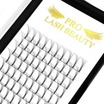 PRO LASHBEAUTY Premade Fans Volume Eyelash Extensions 6D-D-0.10-14 Long Stem, Black, 120 Fans, 1 Count