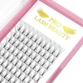 Premade Volume Eyelash Extensions 6D-D-0.07-15 Short Stem Premade Fans Eyelash Extensions 9 to 20 mm Volume Lash Extensions .07 .10 Pre made Lash Fans C D Curl (6D-D-0.07,15mm)