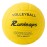 Runleaps Volleyball, Waterproof Indoor Outdoor Volleyball for Beach Game Gym Training (Official Size 5, Yellow)
