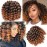 Jamaican Bounce Crochet Hair-4 Packs Deal 8 Inch 22Roots Jumpy Wand Curly Crochet Hair For Black Women (8 Inch 4 Packs, T1B-30)