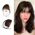 BARSDAR Real Human Hair Clip in Bangs - 100% Human Hair Clip in Bangs for Women - Brown Wispy Bangs Extensions Fringe with Temples Dyeable Real Hair Bangs Hairpieces - Dark Auburn Brown
