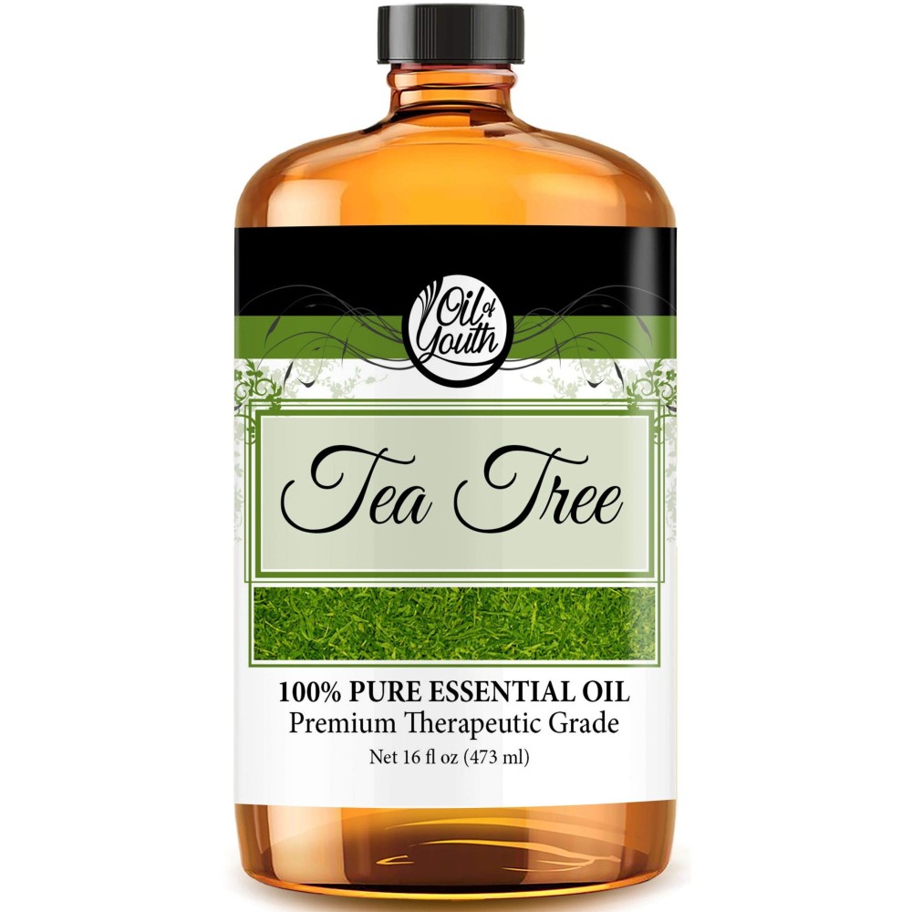 Oil of Youth Tea Tree Essential Oil 16oz Bulk - Pure Therapeutic Grade for Aromatherapy, Diffuser, Skin Therapy, and Cleaning