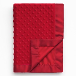 Pro Goleem Baby Soft Minky Dot Blanket with Silky Satin Backing Baby Gifts for Boys and Girls (Red, 30 x 40)