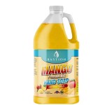 Antibacterial Hand Soap - Mango Foaming Hand Wash - 1/2 Gallon (64 oz.) Bulk. Refill Jug. Mango Scented. Non-toxic. Made in the USA.
