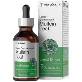 Horbach Mullein Leaf Extract Drops | 2 fl oz | Alcohol Free Liquid Tincture | Vegetarian, Non-GMO & Gluten Free Herbal Supplement