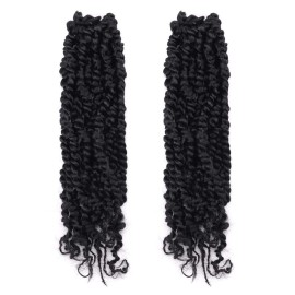 TOYOTRESS Tiana Passion Twist Hair - 12 inch 2 Pcs Pre-twisted Crochet Braids Natural Black, Synthetic Braiding Hair Extension ( 12 Inch, 1B)