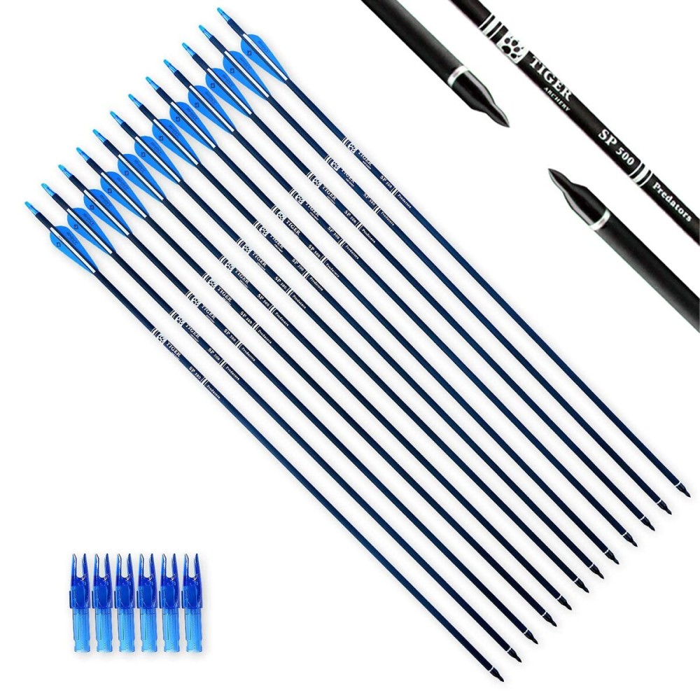 TIGER ARCHERY 30Inch Carbon Arrow Practice Hunting Arrows with Removable Tips for Compound & Recurve Bow(Pack of 12) (Blue White)