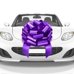 Mata1-USA - Huge Car Bow - Purple, 18 Inch - Big Gift Wrapping Bow for Large Gift Decoration - Giant Size for Indoor & Outdoor Use - 20 Loops & 4 Stickers