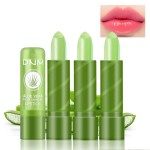 BINGBRUSH Color Changing Lipstick Long Lasting Nutritious Lip Care Magic PH Lip Balm Moisturizer Lipstick Queen, Temperature Changing LipGloss Lip Mask Makeup Set for Women (Aloe Vera)