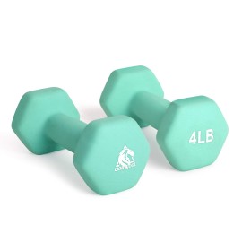 LIONSCOOL Neoprene Coated Dumbbell Weights (Aqua 4lb Pair)