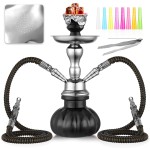2 Hose Hookah Set 11\'\' Small Shisha Hookah Set With Mini Pumpkin Glass Vase, Ceramic Bowl, Leather Hose, Coal Tong, Hookah Foil, Disposable Tips (Black)