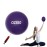CIZEBO Small Exercise Ball for Between Knees, 6 inch Pilates Ball with Pump, Mini Yoga Core Ball Physical Therapy, Purple