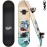 Skateboards for Beginners, 31x8 Complete Skateboard for Kids Teens & Adults, 7 Layer Canadian Maple Wood Double Kick Deck Concave Standard and Tricks Skateboard with All-in-1 Skate Tool
