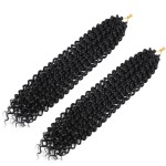 Dansama 2 Packs Passion Twist Hair Water Wave Braiding Hair for Butterfly Style Crochet Braids Bohemian Hair Extensions (18inch (Pack of 2), 1B)