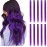 RINBOOOL Purple Hair Extensions Clip in, 22 Inch 10 Pieces Long Straight Colored, for Kids Girls Women Highlight Party, Synthetic