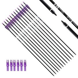 TIGER ARCHERY 30Inch Carbon Arrow Practice Hunting Arrows with Removable Tips for Compound & Recurve Bow(Pack of 12) (Purple White)