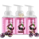 LOVERY Foaming Hand Soap-Packof 3-Moisturizing Hand Soap with AloeVera & Essential Oils-Alcohol-Free Hand Wash in Honey Almond, PomegranatePeach, Lavender Jasmine Scent-Free Bracelet