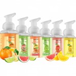 Foaming Hand Soap - Pack of 6 - Moisturizing Hand Soap with Aloe Vera & Essential Oils, Alcohol-Free Hand Wash in Citrus Blend, Lemon, Orange, Pomelo, Lime, Grapefruit, Hand Wash for Kitchen, Bathroom