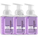 Valentines Foaming Hand Soap, 3 Pack, Moisturizing Hand Soap with Aloe Vera & Essential Oils, Alcohol-Free Hand Wash in Lavender Jasmine Scent, Scented Hand Wash for Kitchen, Bathroom - Free Bracelet