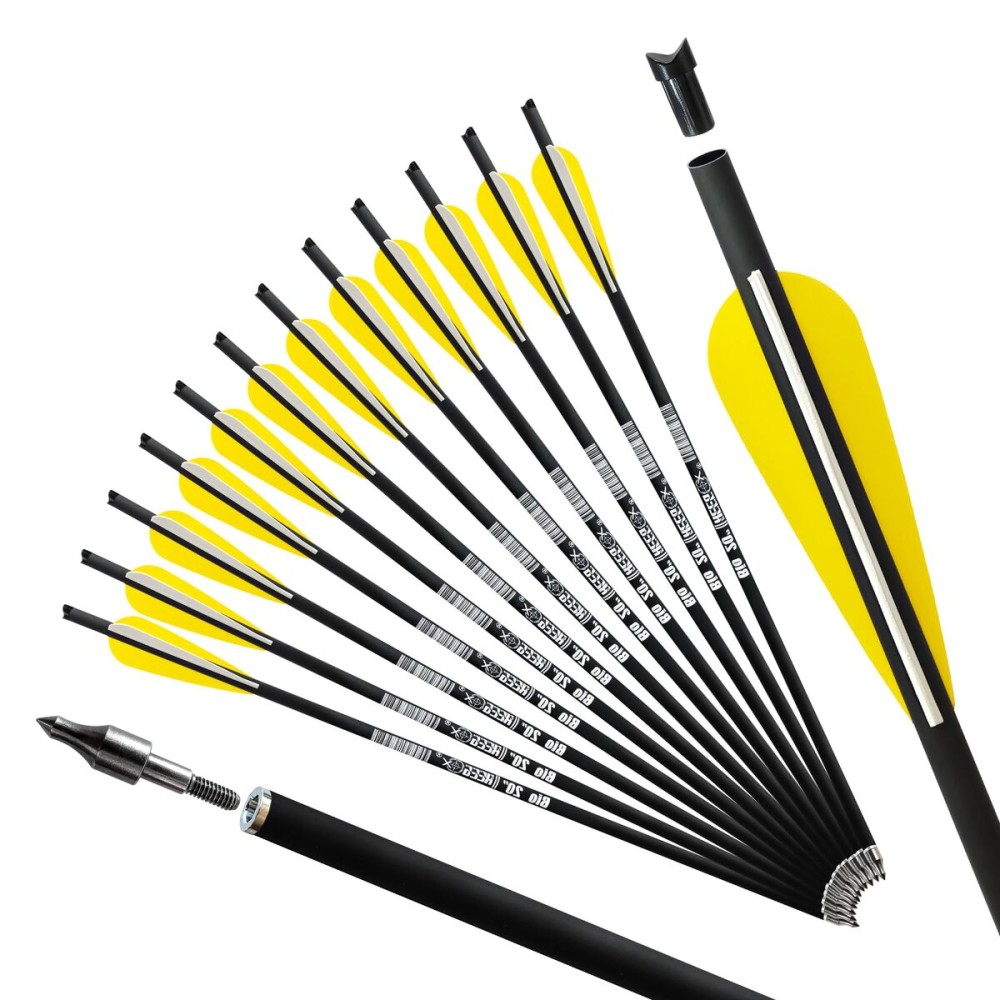 REEGOX Crossbow Bolts 16/18/20 inch Bio Crossbow Arrows with Moon Nocks and Removable Tips (Pack of 12) (20-Yellow)