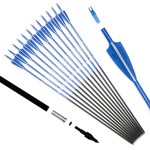 Pointdo 30inch Carbon Arrow Fluorescence Color Targeting and Practice and Hunting Arrows for Compound Bow and Recurve Bow with Removable Tips(Pack of 12) (Fluorescein Blue)