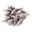 ecoSpikes Stainless Steel Track and Cross Country Spikes (3/8 Silver, 14x)