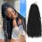 ZRQ 6 Packs Butterfly Locs Crochet Hair 20 Inch Black Distressed Faux Locs Hair Extensions Pre-looped Crochet Braids Synthetic Soft Locs For Women 1B