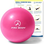 ProBody Pilates Small Exercise Ball - 9 Inch Workout Ball for Stability, Barre, Yoga, Core & Physical Therapy, Home Gym & Office Use (Pink)