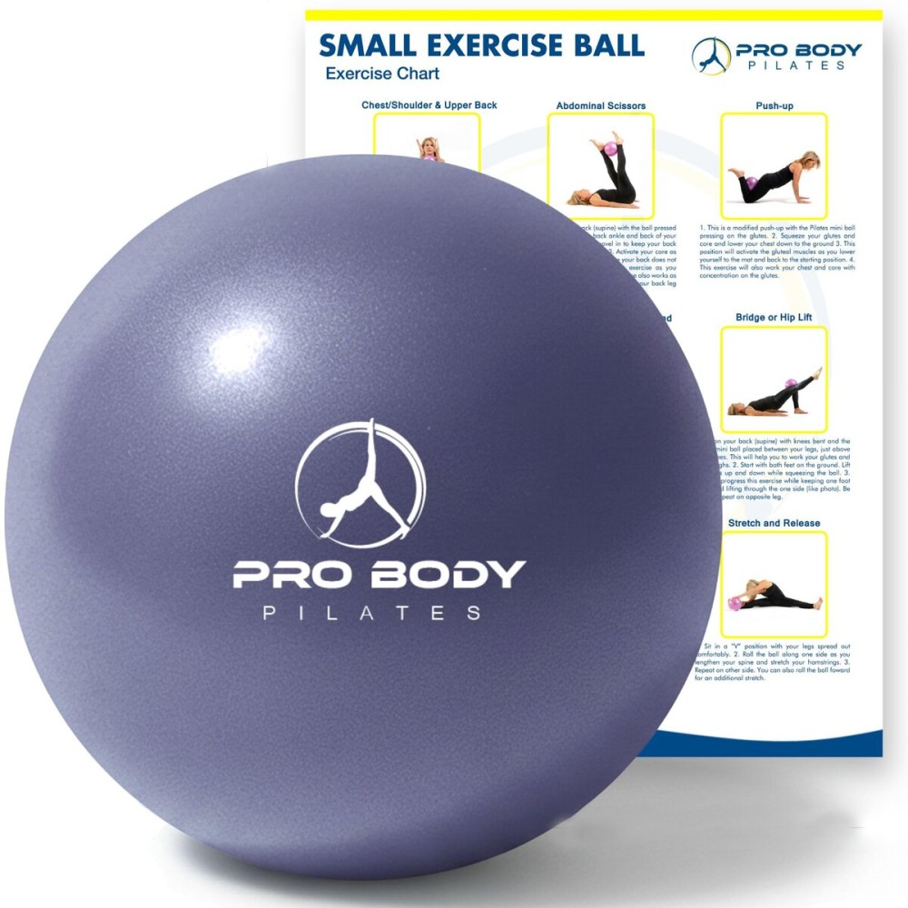 ProBody Pilates Ball 9 Inch - Small Exercise Ball for Stability, Barre, Core, Ab Workouts, Yoga, & Physical Therapy (Indigo)
